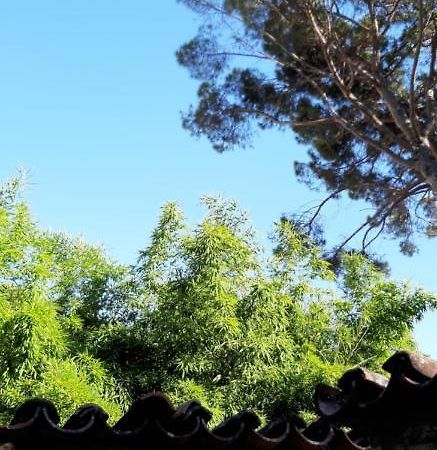 Bamboo Apartman Πορτορόζ Εξωτερικό φωτογραφία