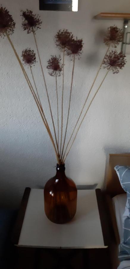Bamboo Apartman Πορτορόζ Εξωτερικό φωτογραφία